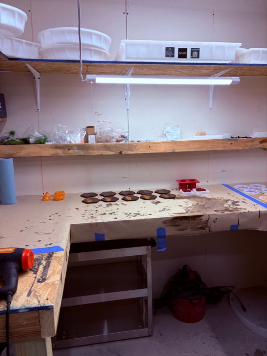 Hex coasters curing, inside the Everything Epoxy workshop